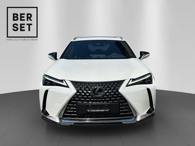 Lexus UX 300h Excellence