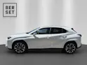 Lexus UX 300h Excellence