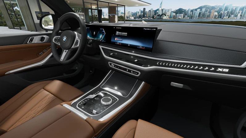 Fahrzeugbild BMW X5