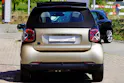 Smart fortwo EQ prime (incl. battery)