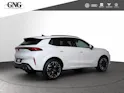 Cupra Terramar 2.0 TSI DSG 4Drive VZ
