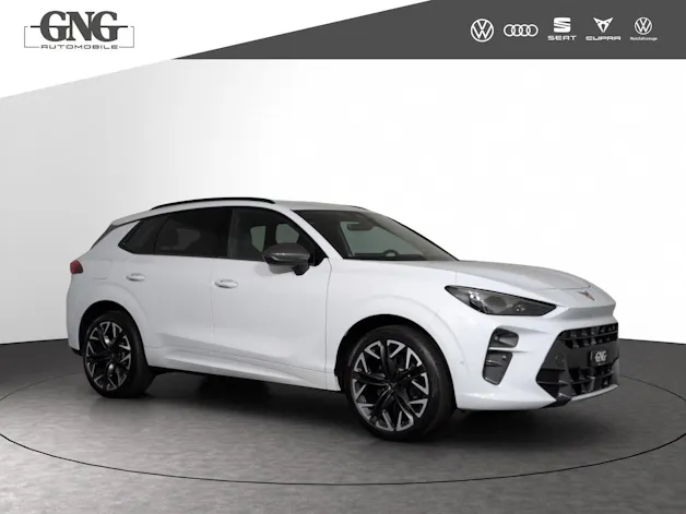 Cupra Terramar 2.0 TSI DSG 4Drive VZ