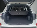 Subaru Forester Station 2.0i e-Boxer Swiss Plus