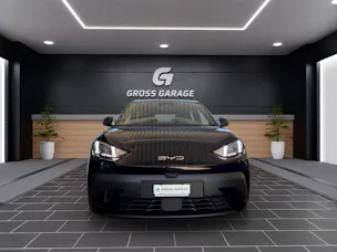 BYD Dolphin Surf Boost 43 kWh