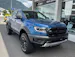 Ford Ranger Raptor 2.0 Eco Blue 4x4 A