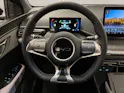 BYD Dolphin Surf Comfort CH FAHRZEUG