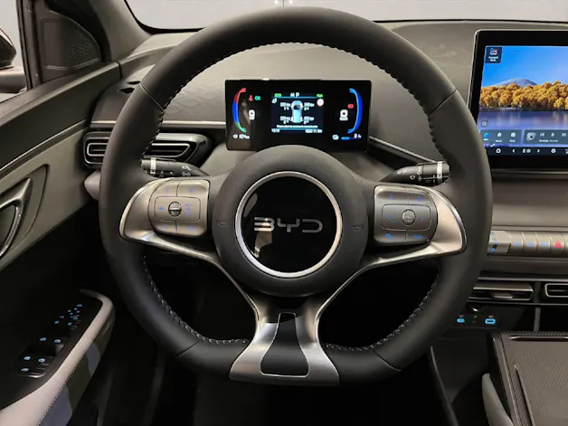 BYD Dolphin Surf Comfort CH FAHRZEUG
