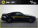 Ford V6 Premium