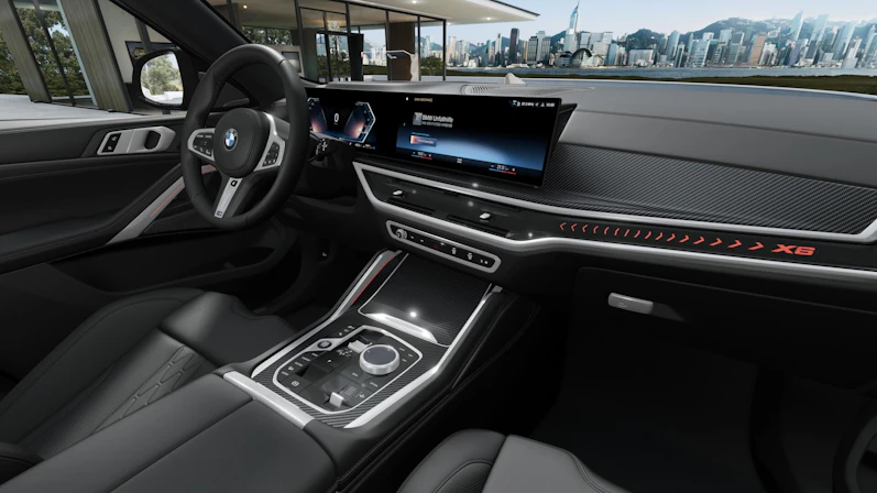 image du véhicule BMW X6