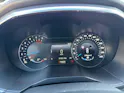 Ford Edge 2.0 EcoBlue 238 Vignale **AHK und Standheizung**