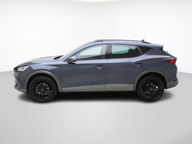 Cupra Formentor 2.0 TSI DSG 4Drive