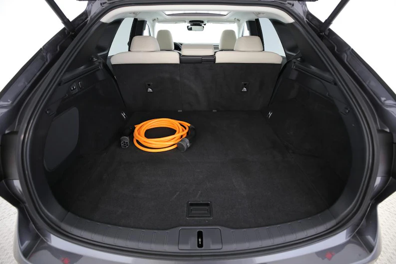 Fahrzeugbild LEXUS RX