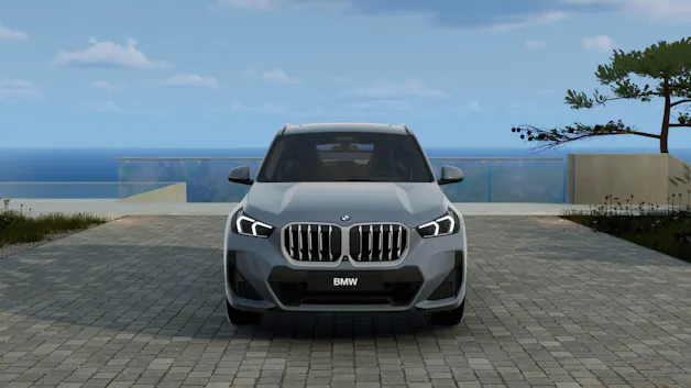 BMW X1 23d xDrive paddles
