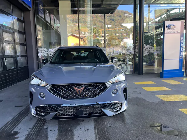 Cupra Formentor 1.5 TSI Inicio DSG
