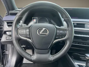 Lexus UX 250h Excellence