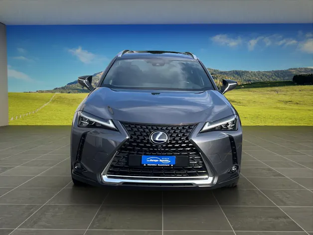 Lexus UX 250h Excellence