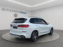BMW X5 xDrive 30d xLine Steptronic
