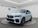 BMW X5 xDrive 30d xLine Steptronic