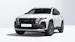 Hyundai Tucson 1.6 TGDI HEV 4WD Black Line