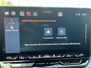 Cupra Formentor VZ 2.0 TSI 333PS 4Drive *** PANORAMADACH & 5 JAHRE CUPRA GARANTIE ***