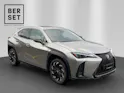 Lexus UX 250h F-Line