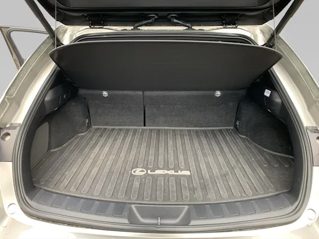 Lexus UX 250h F-Line