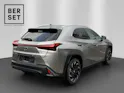 Lexus UX 250h F-Line