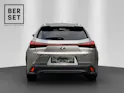 Lexus UX 250h F-Line