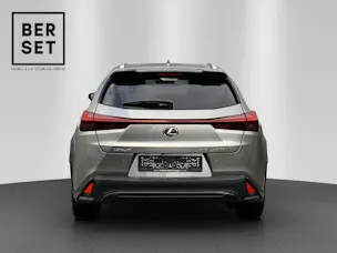 Lexus UX 250h F-Line