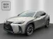 Lexus UX 250h F-Line