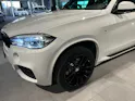 BMW X5 xDrive 40d Pure M Sport Steptronic
