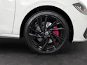 VW Polo 2.0 TSI GTI DSG