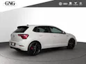 VW Polo 2.0 TSI GTI DSG