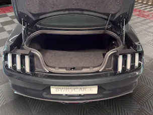 Ford Mustang Fastback 5.0 V8 GT Automat