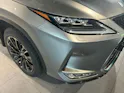 Lexus RX 300 Special Edition AWD
