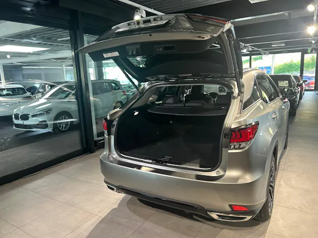Lexus RX 300 Special Edition AWD