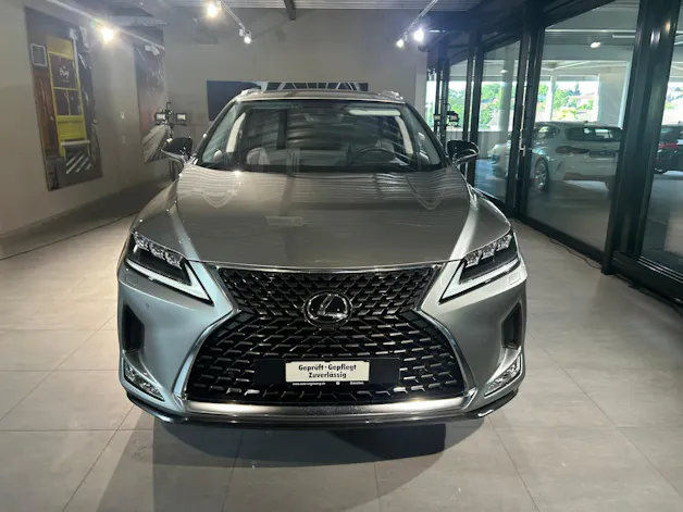 Lexus RX 300 Special Edition AWD