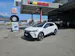 Mitsubishi Grandis 1.8 HEV Instyle