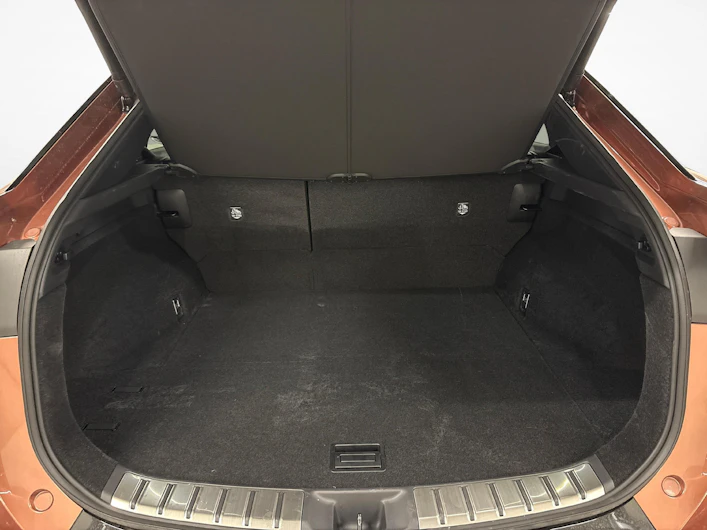 Fahrzeugbild LEXUS RZ