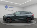 Cupra Terramar 2.0 TSI DSG 4Drive VZ