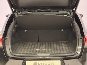 Lexus UX 300h Excellence