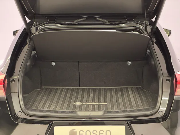 Lexus UX 300h Excellence