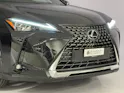 Lexus UX 300h Excellence