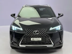 Lexus UX 300h Excellence