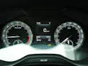 SKODA Kodiaq 2.0 TDI DSG Style