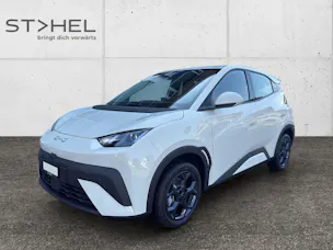 BYD Dolphin Surf Boost
