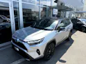 Toyota RAV-4 2.5 HSD Style e-CVT 2WD