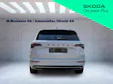 Škoda Karoq 2.0 TSI SportLine 4x4 DSG