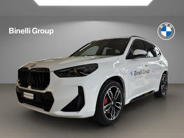 BMW X1 30e xDrive paddles