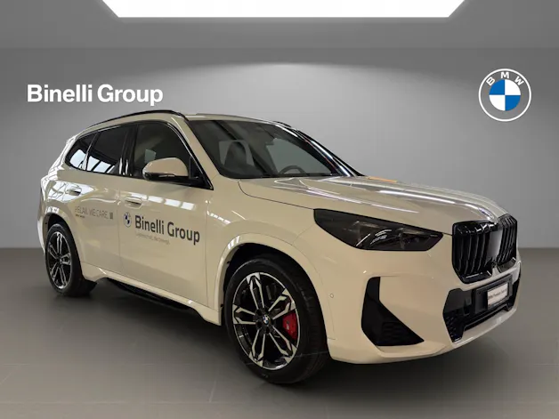 BMW X1 30e xDrive paddles
